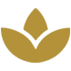 leadership-coaching-cropped